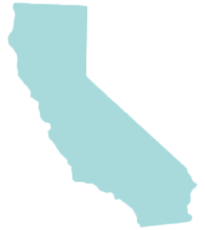 california probate services icon