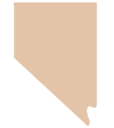 nevada probate services icon